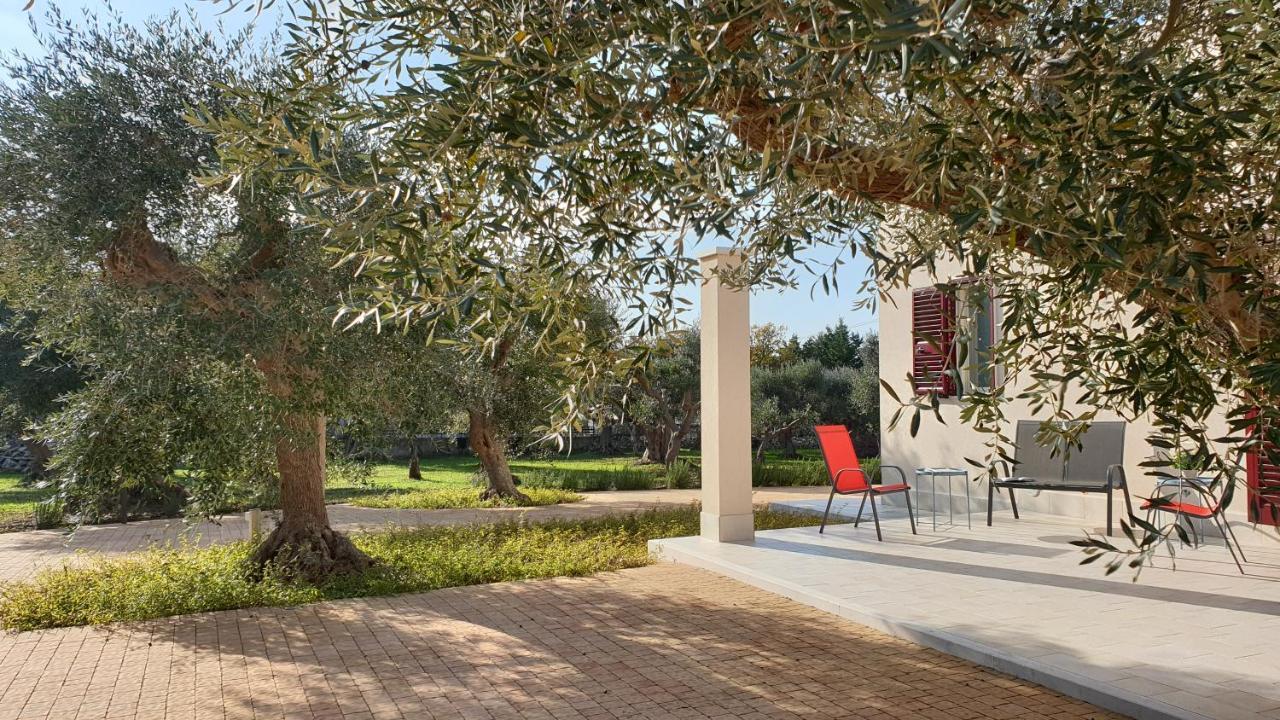 Villa Tra Gli Ulivi Putignano Exterior foto